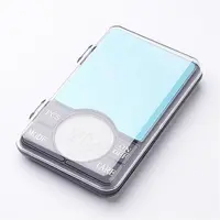 Portable Digital Scale