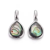 Natural Abalone Shell/Paua ShellCharms