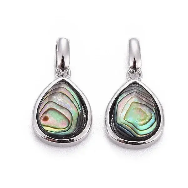 Natural Abalone Shell/Paua ShellCharms