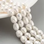 Natural Cultured Freshwater Pearl Beads Strands