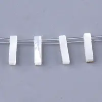 Natural Sea Shell Beads