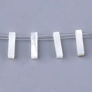 Natural Sea Shell Beads