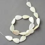 Natural Sea Shell Beads Strands