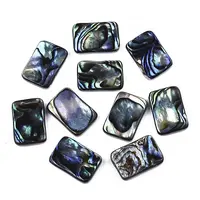 Natural Abalone Shell/Paua Shell Cabochons