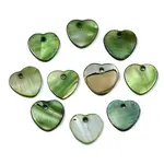 Natural Freshwater Shell Charms