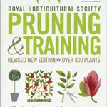 RHS Pruning and Training - Christopher Brickell, David Joyce