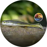 Redbass gumová nástraha ripper kicker olive/silver - l 100 mm