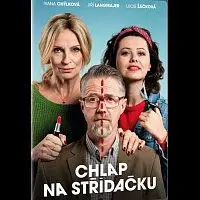 Různí interpreti – Chlap na střídačku DVD