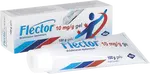 FLECTOR Gel dermální gel 100 g