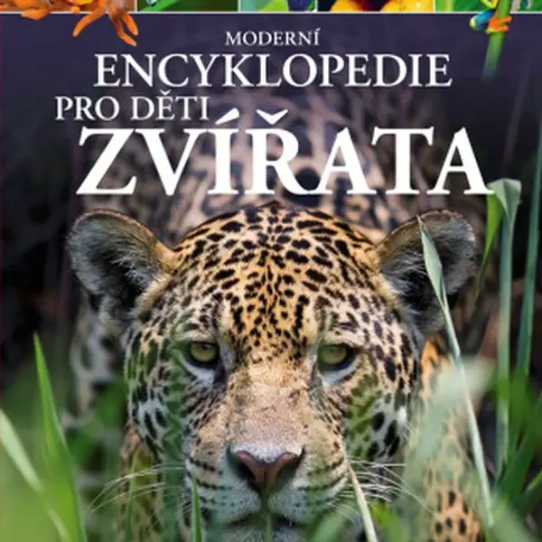 Moderní encyklopedie pro děti - Zvířata - Michael Leach