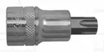 Zástrčné hlavice 1/2” TORX s otvorem (různé velikosti) - 4CZech Velikost: TT30