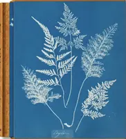 Anna Atkins. Cyanotypes - Peter Walther
