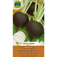 Čierna reďkovka - okrúhla čierna