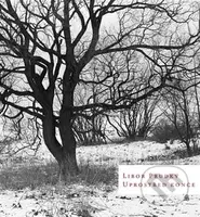 Uprostřed konce - Libor Prudký