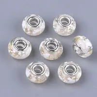 Resin European Beads