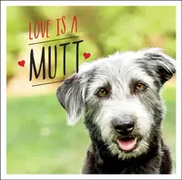 Love is a Mutt - Ellis Charlie