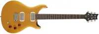 PRS SE DGT Moons Gold Top 2026