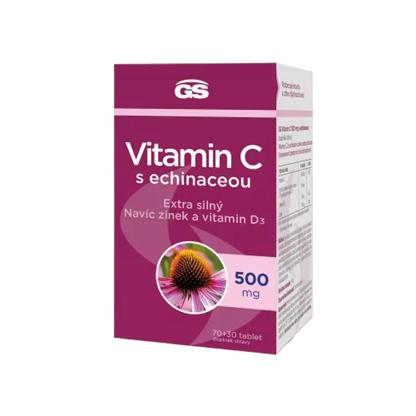 GS Vitamin C s echinaceou 100 tablet