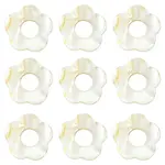 20Pcs Freshwater Shell Beads Frames