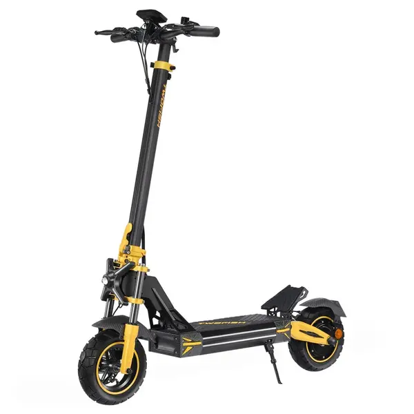 TWOFISH V2 MAX Electric Scooter 800W 48V 20Ah