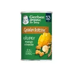 Gerber Křupky s mangem a banánem BIO 35g 12M+