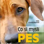 Co si myslí pes
