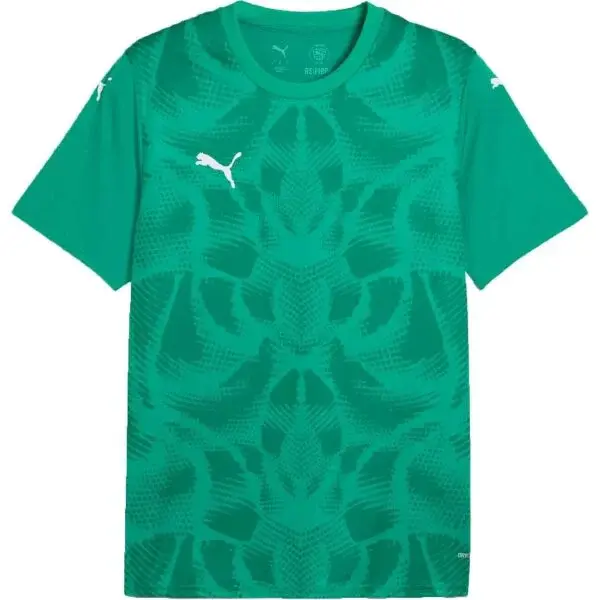 Puma TEAMGLORY JERSEY Pánske futbalové tričko, zelená, veľkosť