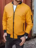 Pánská bunda DStreet