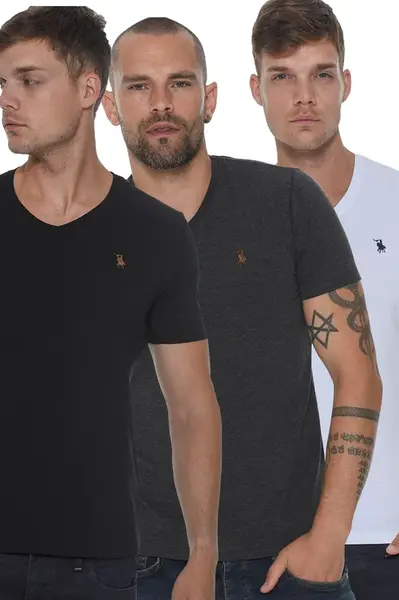 pánské tričko dewberry