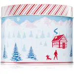 DW Home Scene & Stripes Peppermint Bark vonná sviečka 833 g