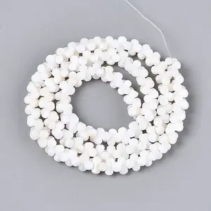 Natural Freshwater Shell Beads Strands