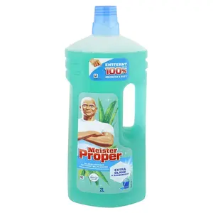 Mr. Proper víceúčelový čistič Jarní probuzení 2 l