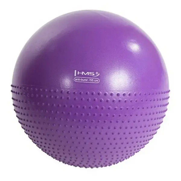 HMS YB03 Masážní gymnastický míč  55 cm fialový