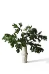 Botané  dekorativní 90 x 35 cm