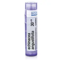 BOIRON Echinacea Angustifolia CH30 4 g