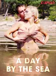 A Day by the Sea - Cupido