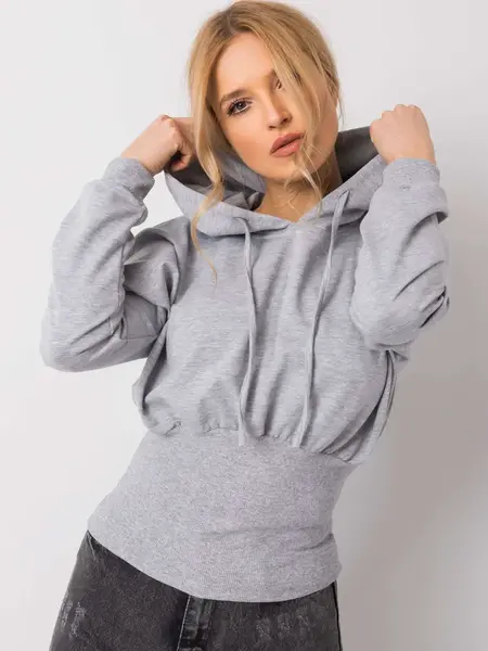 Sweatshirt-RV-BL-6191.06P-gray
