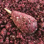 Lk baits iq method ready mix 600 g - exotic