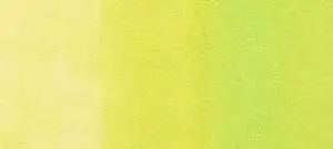 Copic Ink – YG01 Green Bice