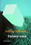 Zástavy srdce (poškozená) - Václav Vokolek