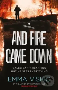 And Fire Came Down - Emma Viskic - kniha z kategorie Detektivky, thrillery a horory