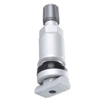 Ventil TPMS gumový - Ferdus 113.01 Varianta: TPMS 8. hliníkový