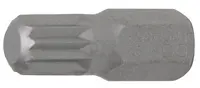 BGS technic Bit XZN 10mm (různé velikosti) - BGS Velikost: 10x30 mm