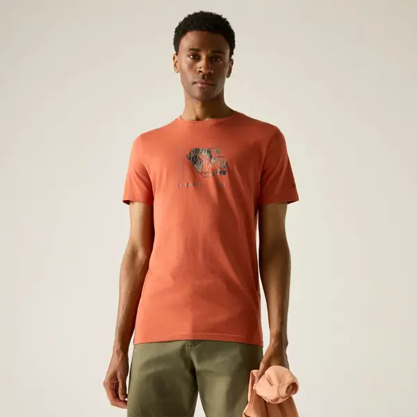 Pánské tričko regatta breezed hnědá xxl