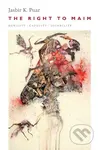 The Right to Maim (Debility, Capacity, Disability) - kniha z kategorie Humanitní a společenské vědy
