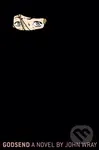 Godsend (A Novel) - John Wray - kniha z kategorie Společenská beletrie
