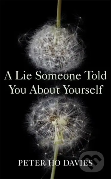 A Lie Someone Told You About Yourself - Peter Ho Davies