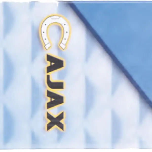 Sada 3 dílenských pilníků 250/2 - AJAX