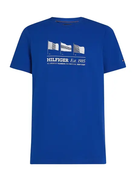 TOMMY HILFIGER Tričko  modrá / biela