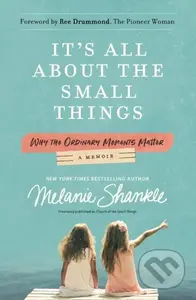 It's All About the Small Things (Why the Ordinary Moments Matter) - kniha z kategorie Filozofie